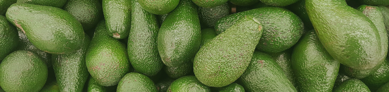 palta